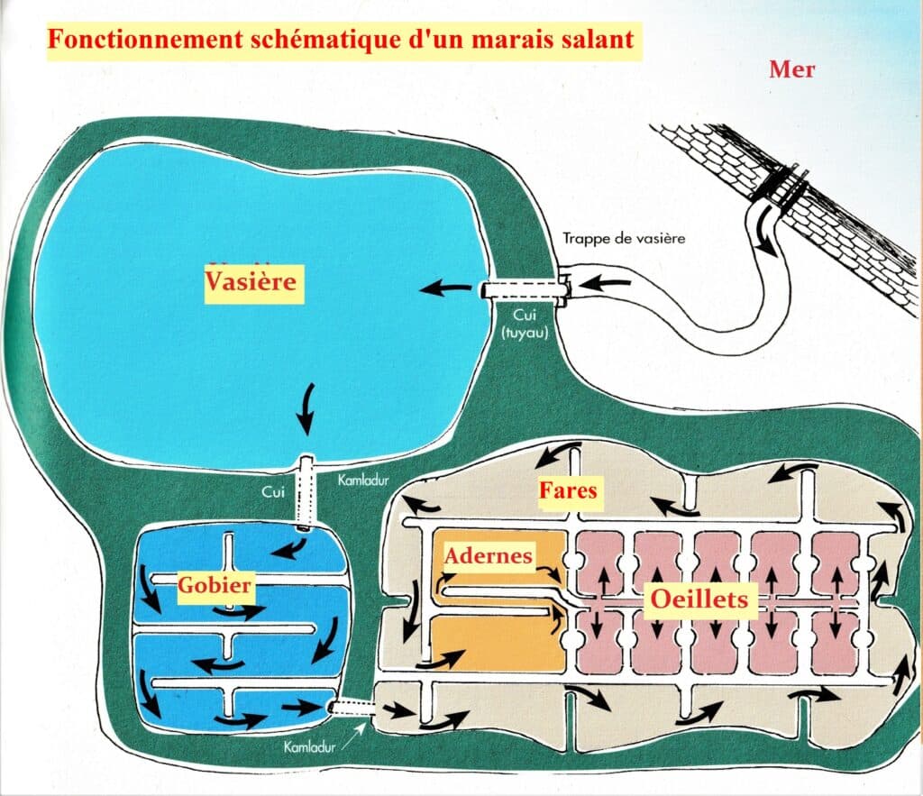 Fonctionnement schématique d'un marais salant