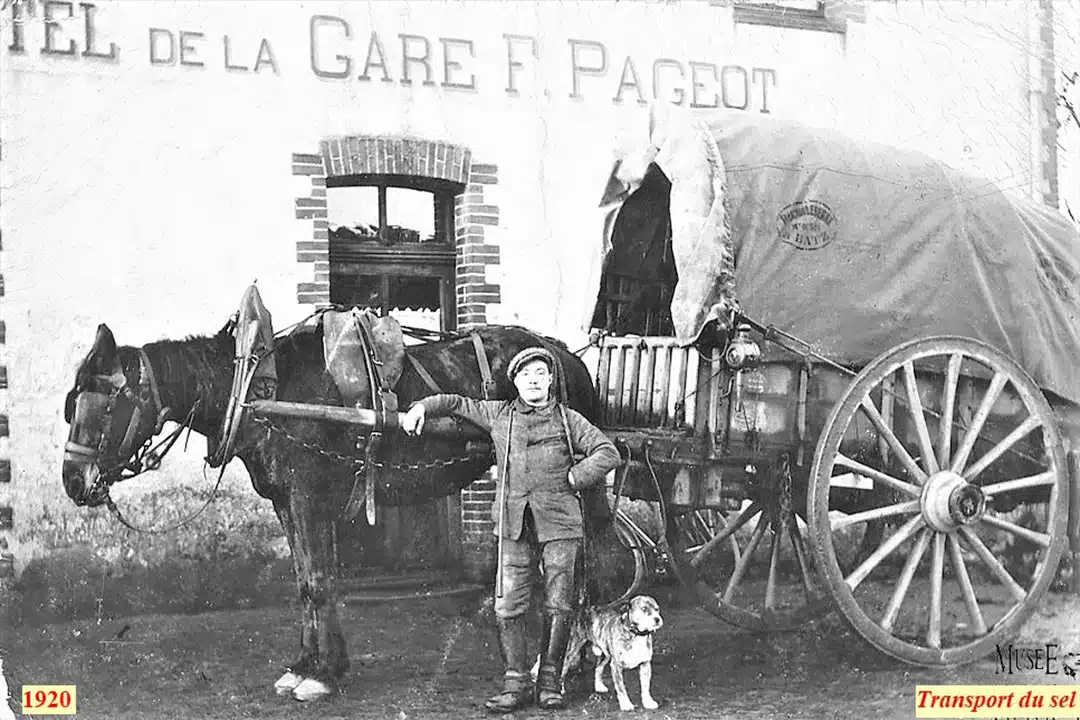 Transport du sel 1920