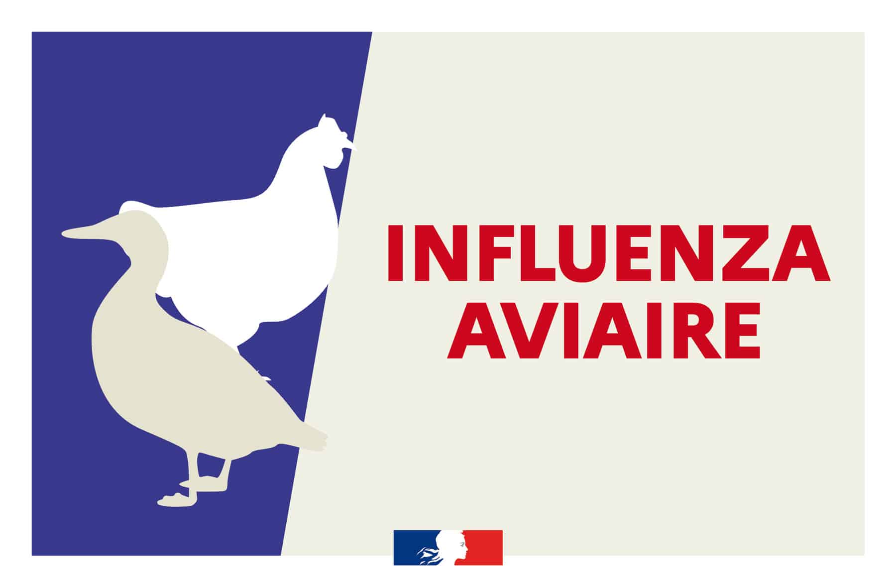 influenza-aviaire-vigilance
