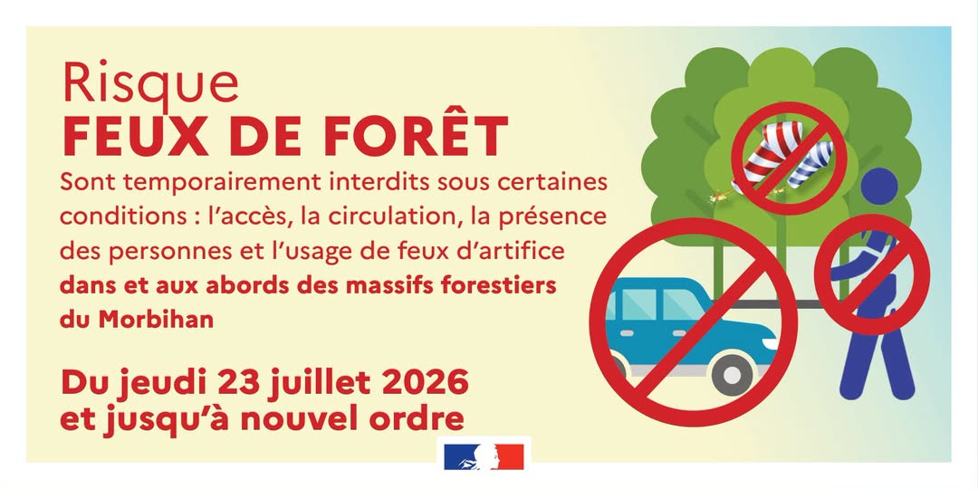 Feux de forêt