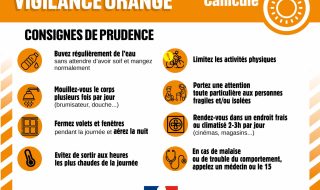CRISE-orange-canicule
