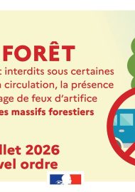 Feux de forêt