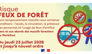 Feux de forêt