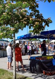 Photo marché copie