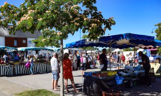 Photo marché copie